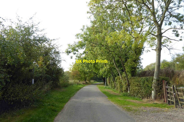 Photo 6"x4" Mill Lane Legbourne Legbourne c2015