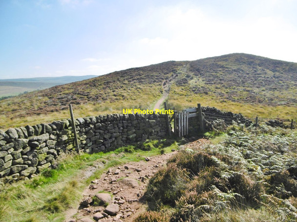 Photo 6"x4" Back Forest, gate Allgreave c2015