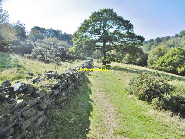 Photo 6"x4" Danebridge, footpath Allgreave c2015