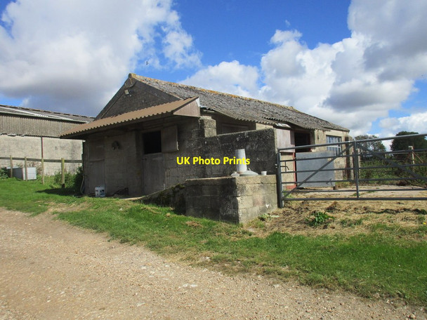 Photo 6"x4" Cow shed and platform for milk churns, Muston Farm Anderson c2015