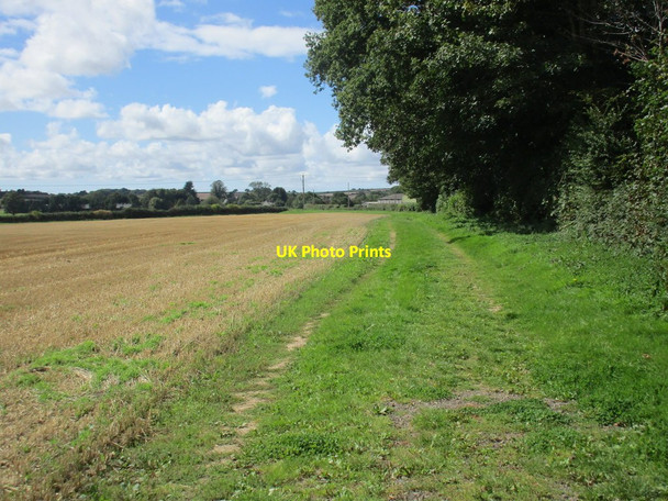Photo 6"x4" Bridleway to Winterborne Kingston Winterborne Kingston c2015