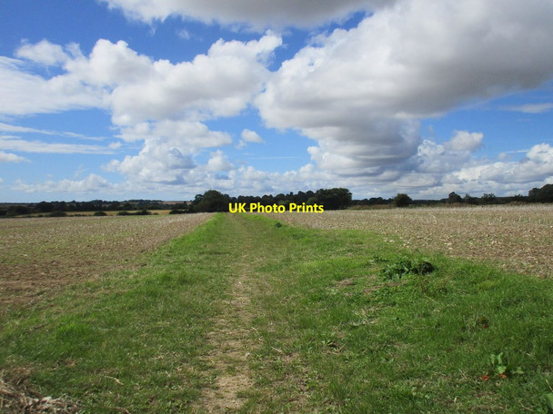 Photo 6"x4" Bridleway to Winterborne Kingston Anderson c2015