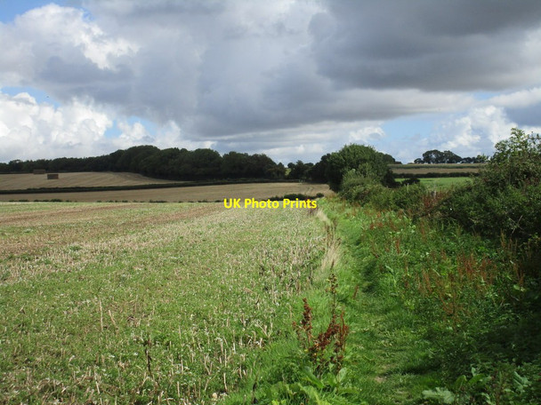 Photo 6"x4" Bridleway to Great Coll Wood Winterborne Tomson c2015