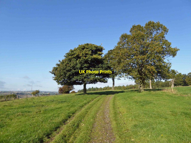 Photo 6"x4" Restricted byway in Bretton Park Midgley\/SE2714 c2015