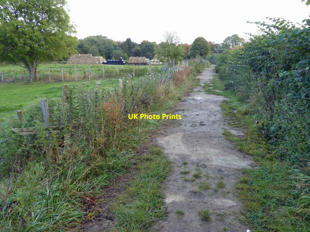 Photo 6"x4" After the muddy track it turns into concrete here Park Mill\/SE2511 c2015