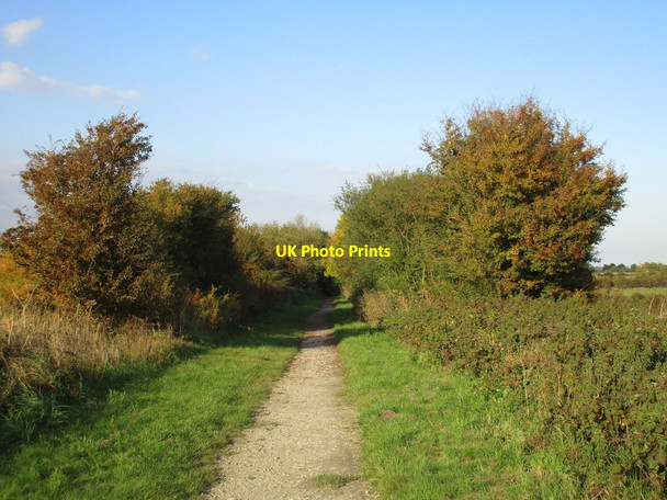 Photo 6"x4" The Hornsea Rail Trail Marton\/TA1739 c2015