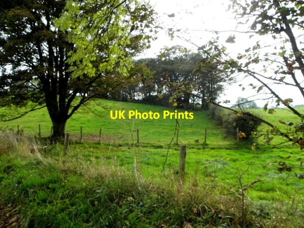 Photo 6"x4" Bracky Townland Milltown\/H5775 c2015
