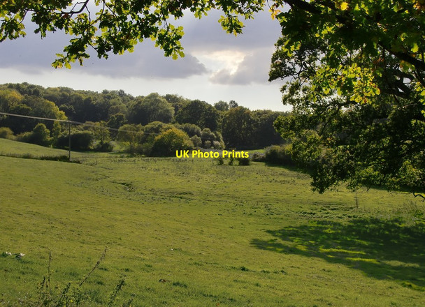 Photo 6"x4" Pastureland east of Coates Lower Horncroft c2015