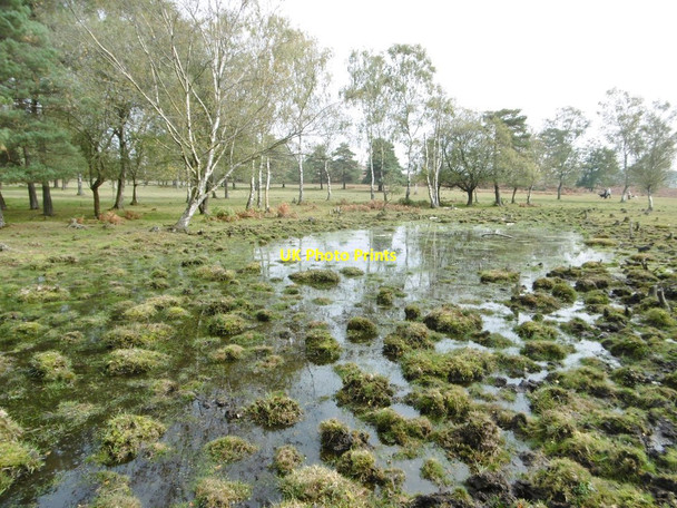 Photo 6"x4" Half Moon Common, pond Canada\/SU2817 c2015