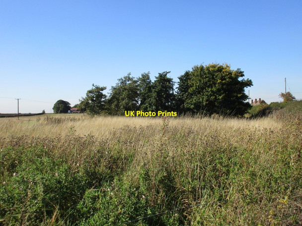Photo 6"x4" Uncultivated land Swine c2015