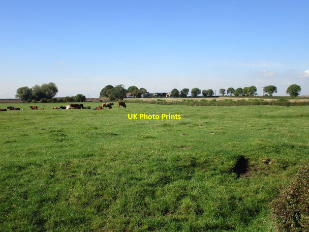 Photo 6"x4" View towards Hall Farm Swine c2015