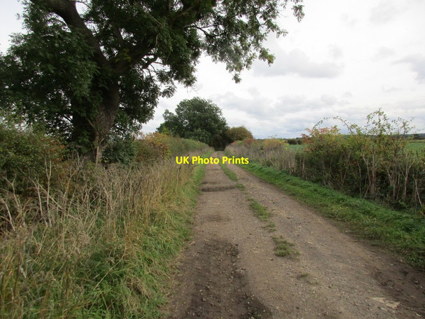 Photo 6"x4" Stancil Lane New Rossington c2015