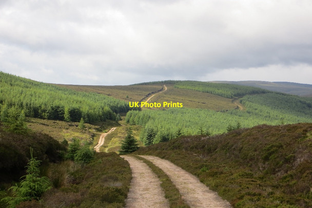 Photo 6"x4" Bog of Gothie Hill of Gothie c2015