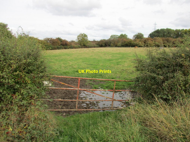 Photo 6"x4" Grass field between Stancil Lane and Carr Bank New Rossington c2015