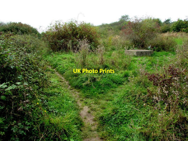Photo 6"x4" Track junction south of Quarry Road, Ryde Ryde c2015