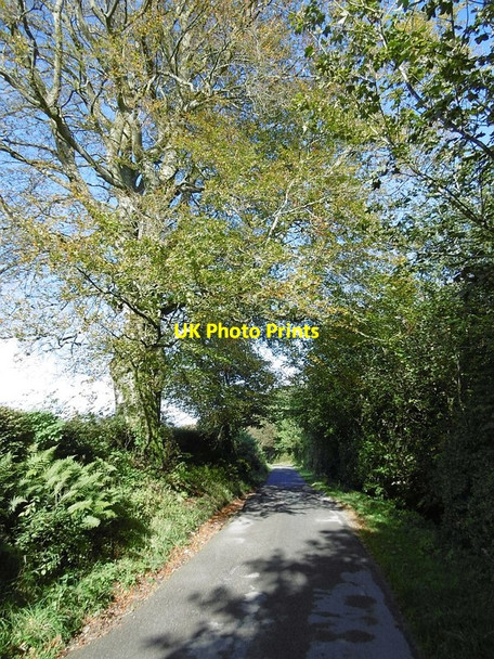 Photo 6"x4" Wamphray Mill to Boreland road Gateside\/NY1194 c2015