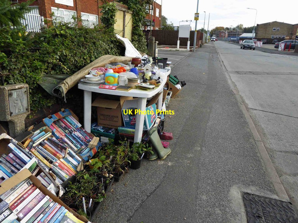 Photo 6"x4" Donations please for Cats Cleethorpes c2015