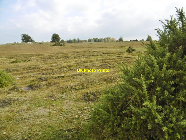 Photo 6"x4" West Wellow Common Canada\/SU2817 c2015