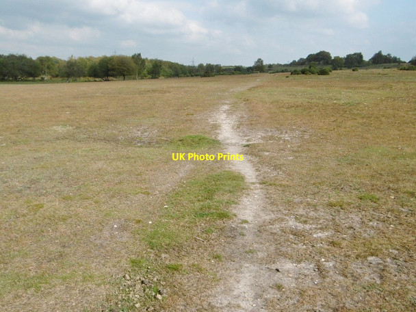 Photo 6"x4" West Wellow Common, track Canada\/SU2817 c2015