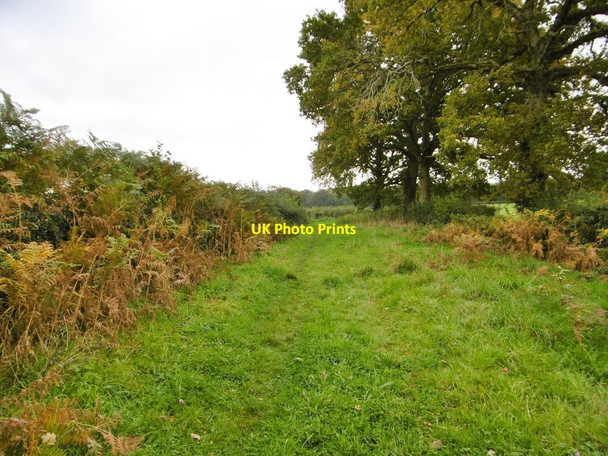 Photo 6"x4" Copythorne, bridleway Stonyford\/SU3215 c2015