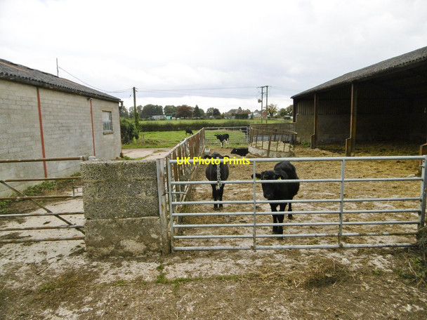 Photo 6"x4" Copythorne, Stonyford Stonyford\/SU3215 c2015