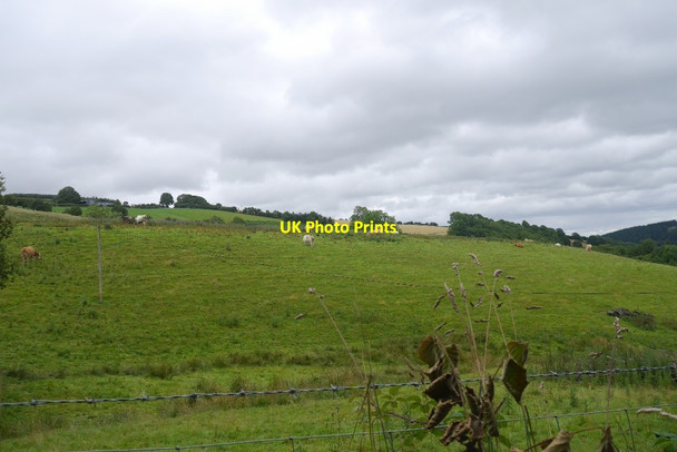 Photo 6"x4" Fields, Willey Birtley\/SO3669 c2015