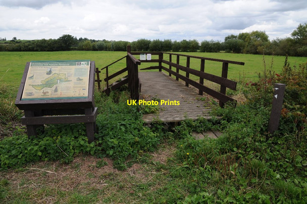 Photo 6"x4" Coombe Hill Nature Reserve The Leigh c2015