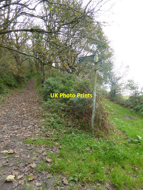 Photo 6"x4" Bridleway junction near Hoy's Monument Chale c2015