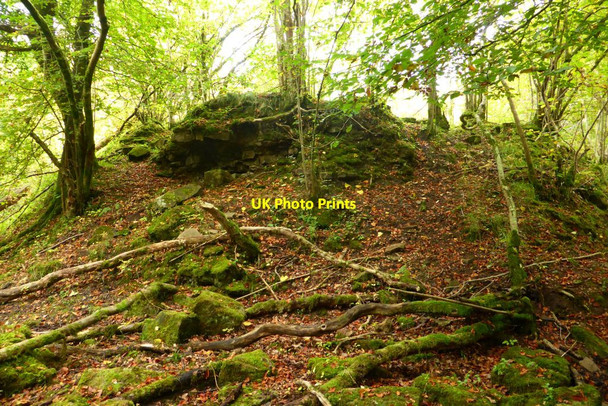 Photo 6"x4" Plotcock Castle (ruin) [2] Quarter\/NS7251 c2015