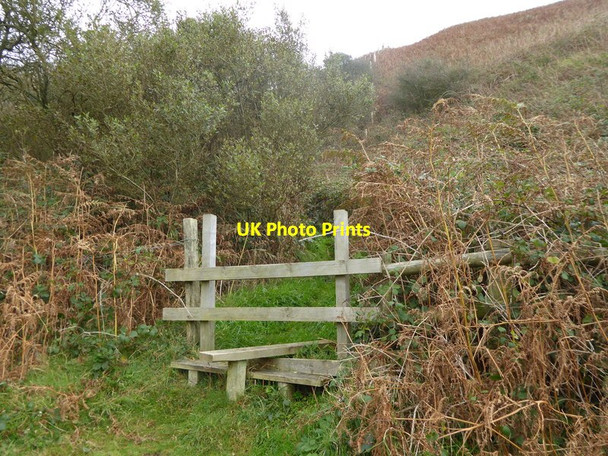 Photo 6"x4" Footpath leaves field to enter rough ground Chale c2015