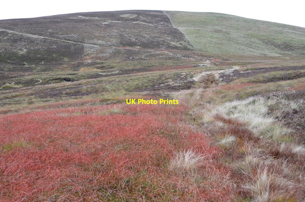 Photo 6"x4" Moorland track below Notman Law Craigierig c2015