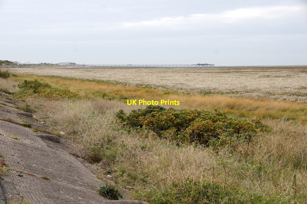 Photo 6"x4" Saltmarsh beside Marine Drive at Marshside Southport c2015