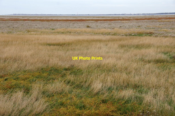 Photo 6"x4" Crossens Outmarsh Fiddler's Ferry\/SD3720 c2015