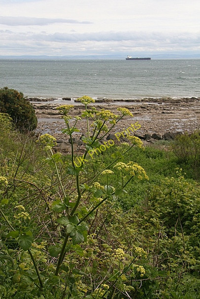 Photo 6"x4" Coastline, East Wemyss Buckhaven c2007