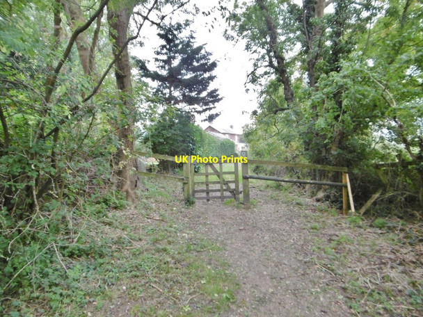 Photo 6"x4" Nursling, gate Hillstreet\/SU3416 c2015