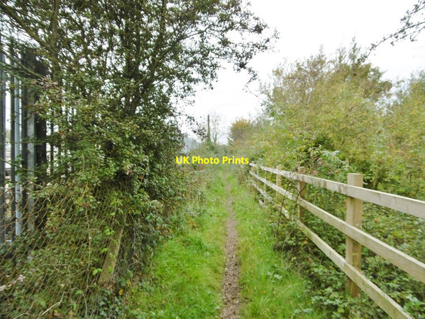 Photo 6"x4" Nursling, Test Way Lee\/SU3617 c2015