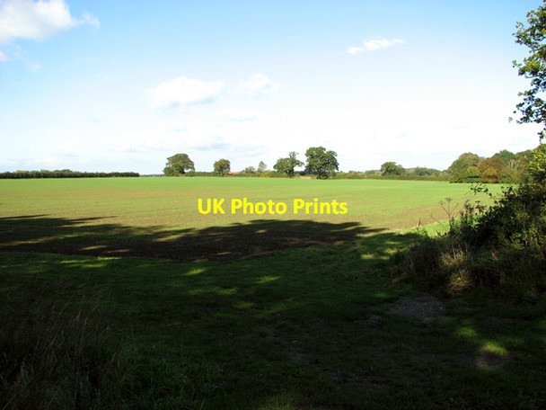 Photo 6"x4" Fields by Morningthorpe Morningthorpe c2015