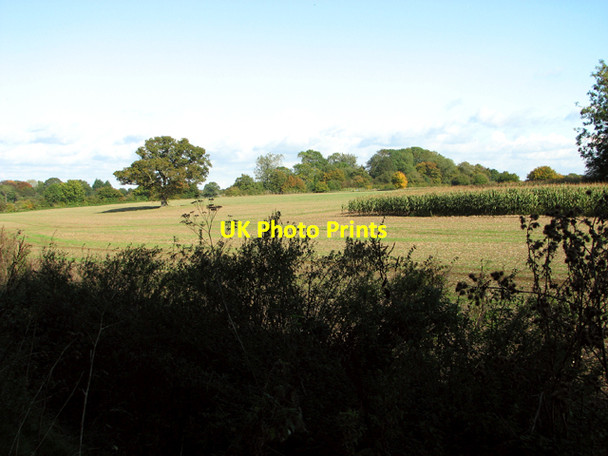 Photo 6"x4" Crop fields beside Boylandhall Lane Fritton\/TM2292 c2015