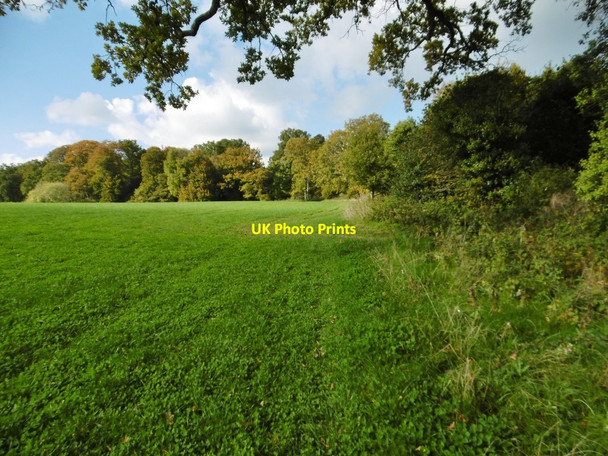 Photo 6"x4" Calmore, footpath Totton c2015