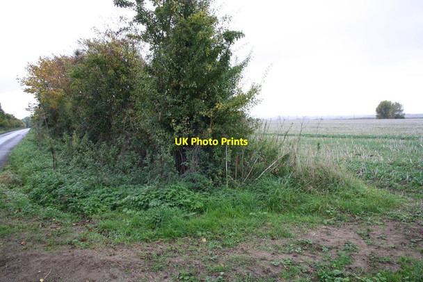 Photo 6"x4" Gap in hedge giving access to field from Eaton Road Appleton\/SP4401 c2015