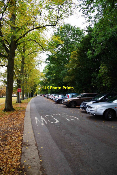 Photo 6"x4" The Leys, Witney, Oxon Witney c2015