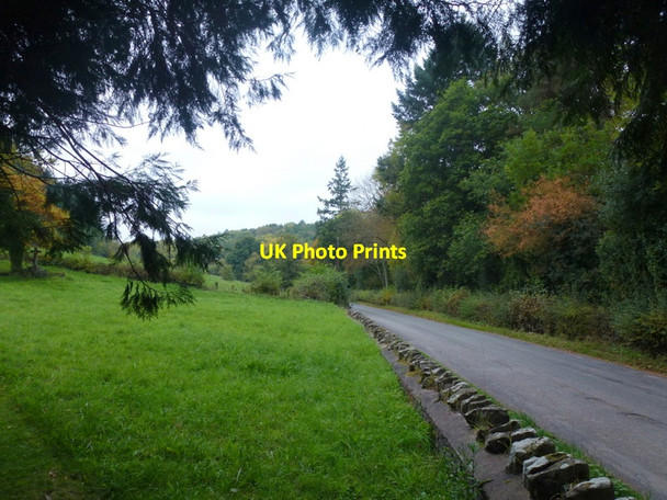 Photo 6"x4" Road in the Dulas valley Abbey Dore c2015