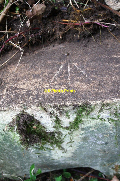 Photo 6"x4" Benchmark on culvert beside A420 Bessels Leigh c2015