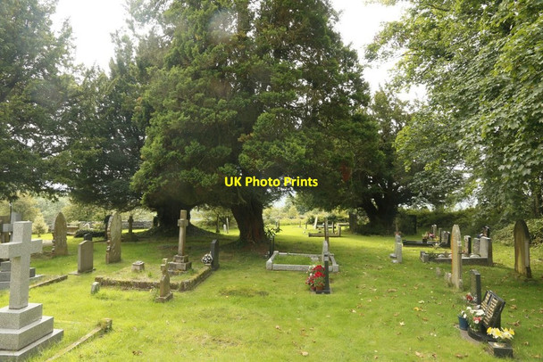 Photo 6"x4" The West side Churchyard Llandeilo Graban c2015