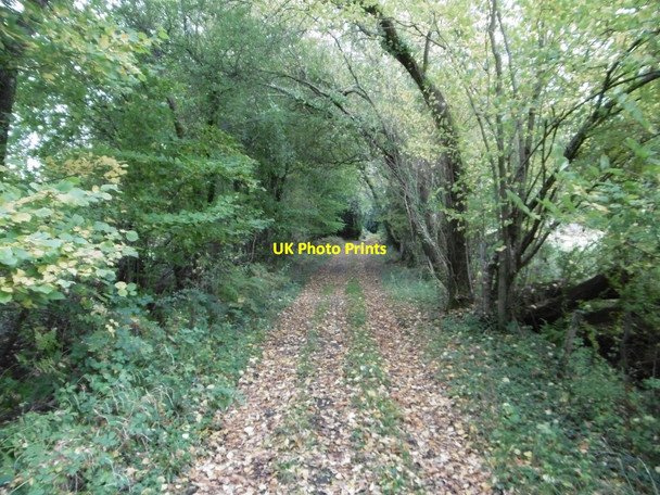 Photo 6"x4" Newbridge, track Copythorne c2015