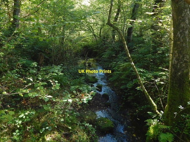 Photo 6"x4" Burn in Garrawy Glen Helensburgh c2015