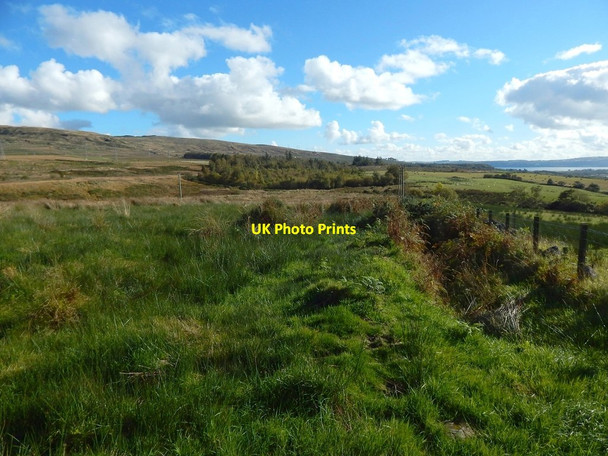 Photo 6"x4" Field boundary Helensburgh c2015