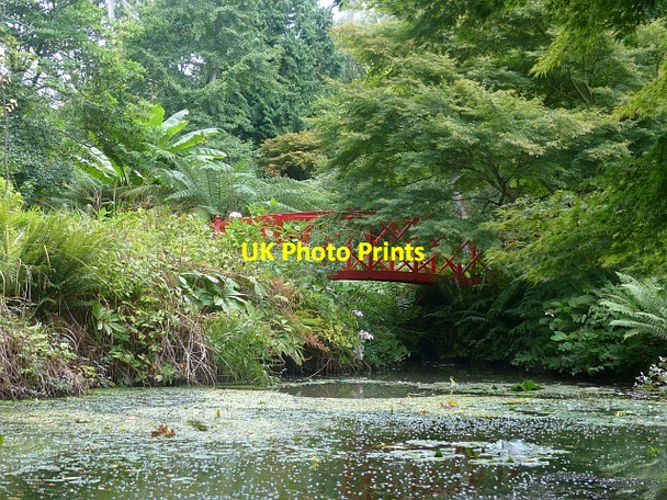 Photo 6"x4" Chinese bridge, Abbotsbury Subtropical Gardens Abbotsbury\/SY5785 c2015