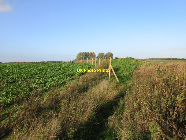 Photo 6"x4" Bridleway closed Loversall c2015