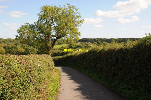 Photo 6"x4" Horwood Lane Chase Hill c2015